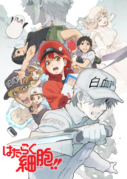 Assistir Hataraku Saibou (Cells at Work!) Episódio 001 Online