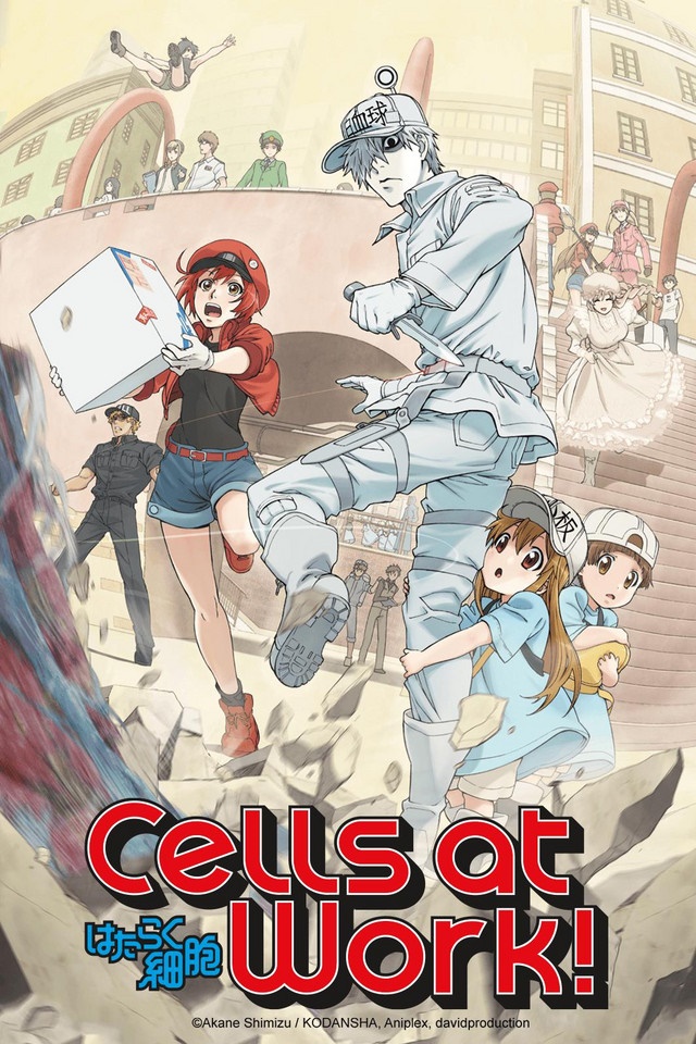 CELLS AT WORK/HATARAKU SAIBOU] Porque você deve assistir o anime Cells At  Work/Hataraku Saibou 