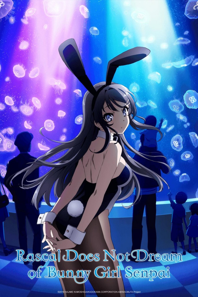 Assistir Seishun Buta Yarou wa Bunny Girl Senpai no Yume wo Minai -  Episódio 013 Online em HD - AnimesROLL