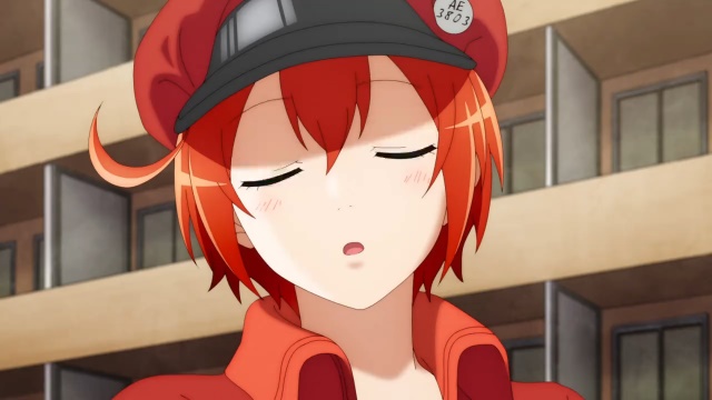 Assistir Hataraku Saibou (Cells at Work!) Episódio 001 Online