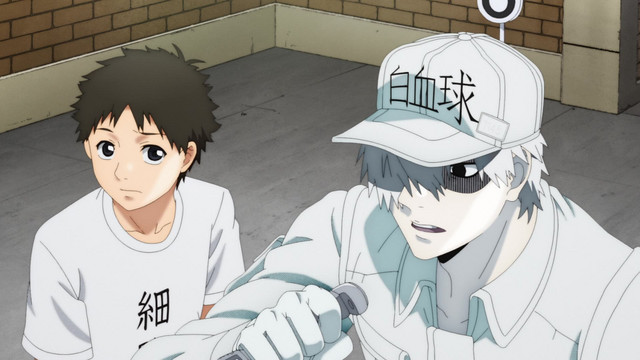 Assistir Hataraku Saibou!! 2 Episodio 5 Online