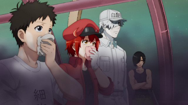 Assistir Hataraku Saibou 2 (Cells at Work!) - Episódio 006 Online em HD -  AnimesROLL