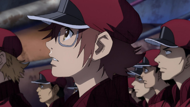 Assistir Hataraku Saibou Black Todos os Episódios Online - Animes BR