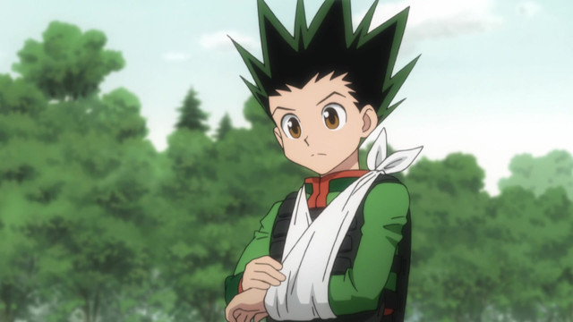 Assistir Hunter x Hunter 2011 - Episódio 082 Online em HD - AnimesROLL