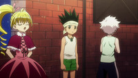 Assistir Hunter x Hunter 2011 - Episódio 033 Online em HD - AnimesROLL