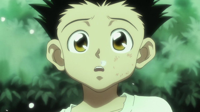 Assistir Hunter x Hunter 2011 - Episódio 033 Online em HD - AnimesROLL