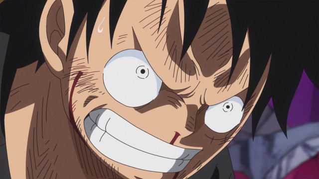 assistir one piece 865